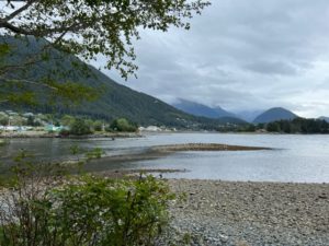 IMG_1201